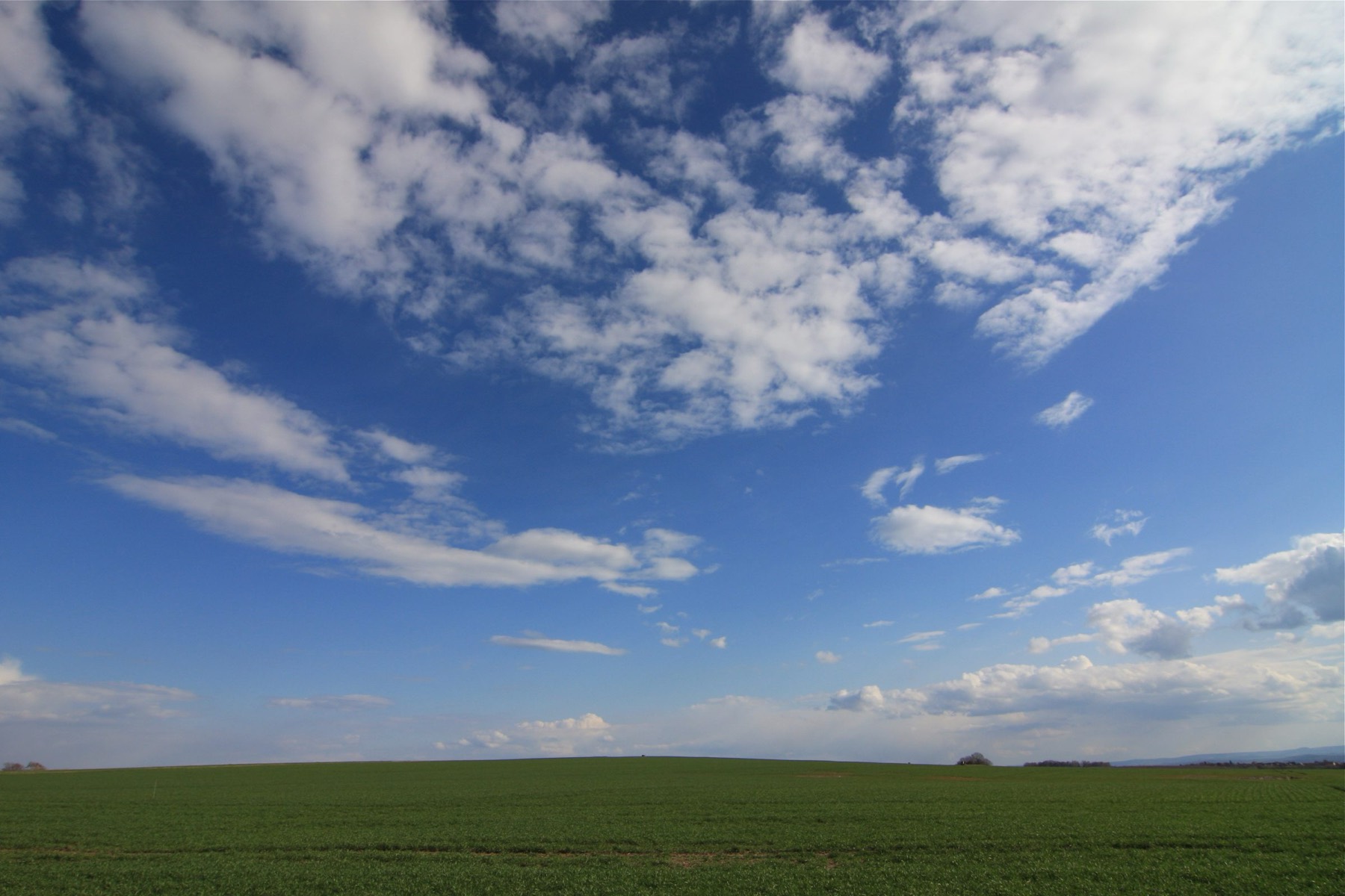 Weites Feld unter Wolkenhimmel, Brandenburg